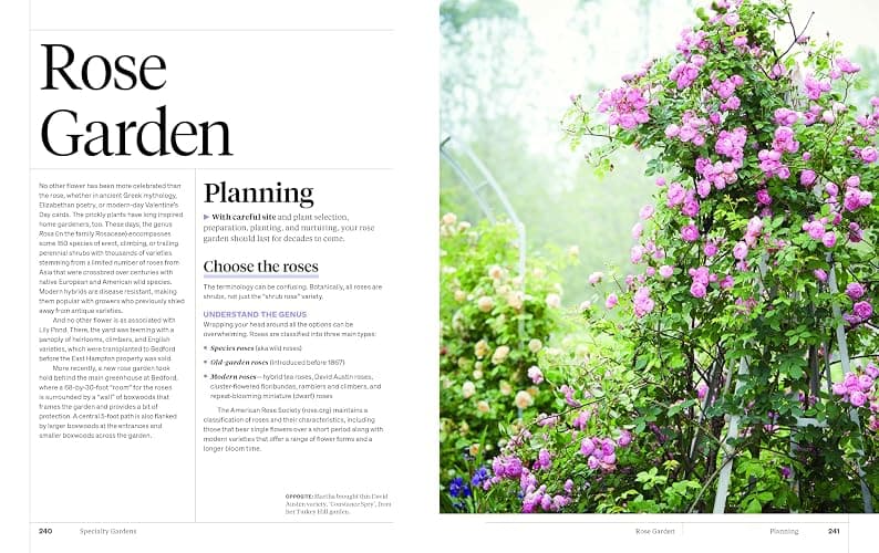 Martha Stewart's Gardening Handbook: The Essential Guide to Designing, Planting, and Growing―Martha Stewart's Handbook For Growing Beautiful Plants and Vegetables thumbnail 6