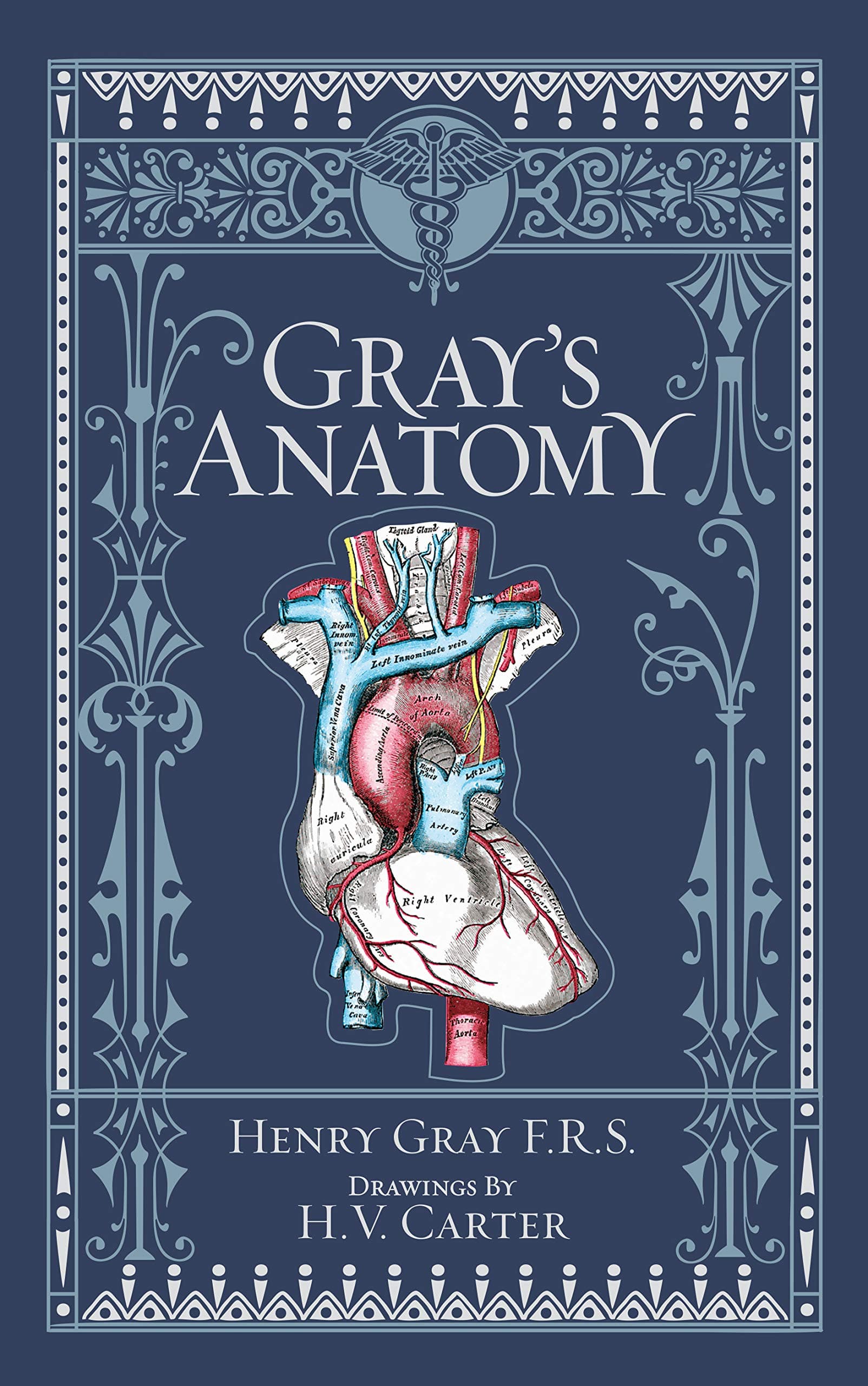 Gray's Anatomy: Barnes & Noble Leatherbound Classic Collection - Image 1
