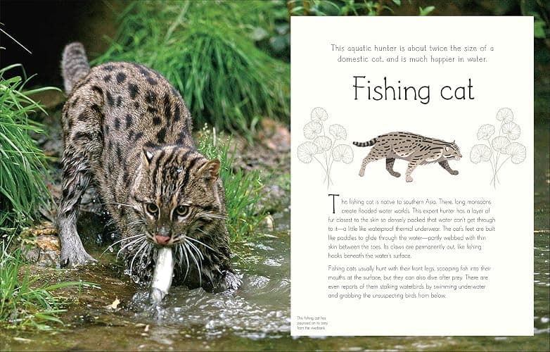 An Anthology of Aquatic Life thumbnail 6
