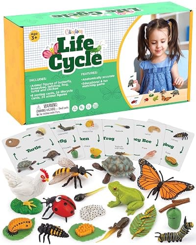 Life Cycle Animal Kit - Montessori Science Toy with 24-Piece Matching Game, Butterfly, Frog, Chicken, Bee, Ladybug and Turtle STEM Educational Gift, Easter Basket fillers for Kids Ages 3-8 - Image 1