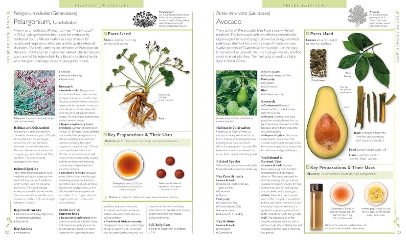 DK Encyclopedia of Herbal Medicine: 550 Herbs Loose Leaves and Remedies for Common Ailments thumbnail 4