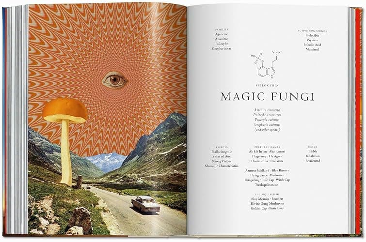 Plant Magick: The Library of Esoterica (Sourcebook) thumbnail 10