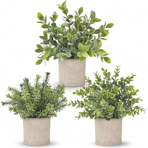 Der Rose 3 Pack Mini Potted Fake Plants Artificial Plastic Eucalyptus Plants Topiaries for Home Office Desk Farmhouse Shelf Room Bathroom Decor(Sage Green) - Image 1