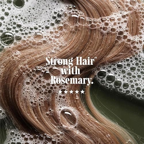 Nécessaire Rosemary Hair Duo - Rosemary Shampoo and Conditioner for Women + Men. Rosemary Oil + Proteins For Stronger Hair. Good for All Hair Types/Textures. 250 ml / 8.4 fl oz thumbnail 2