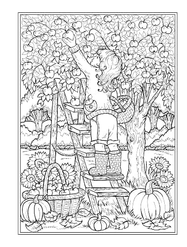 Creative Haven Autumn Harvest Coloring Book (Adult Coloring Books: Seasons) thumbnail 10