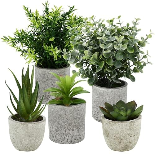 5 Stück Kunstpflanze, Mini Künstliche Pflanzen Schlangenzunge, Agave Sukkulente, Eagle Claw Aloe, Künstliche Pflanzen für Schlafzimmer Büro Dekoration - Image 1