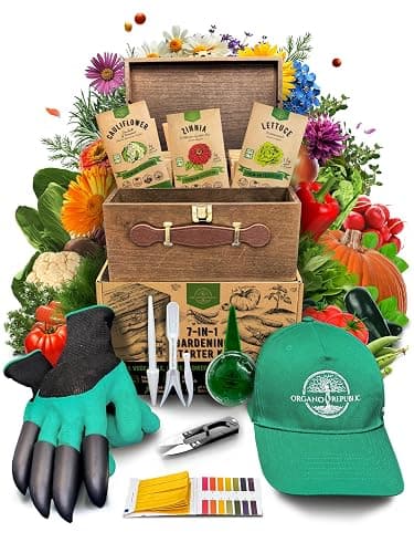 75 Medicinal & Tea Herb Seeds Variety Pack, Garden Seed Starter Kit - Over 47,380 Non-GMO Heirloom Seeds for Planting Herbs and Vegetables, Seed Box with Gardening Supplies, Gardening Gifts - Image 1
