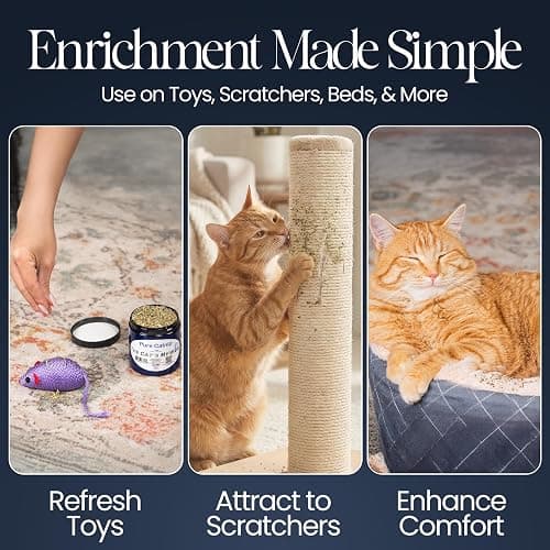 The Cat's MeWow 100% Pure Catnip – North American Grown – Strong Aroma for Play & Enrichment – Resealable Freshness Jar – Veteran-Owned Brand thumbnail 5