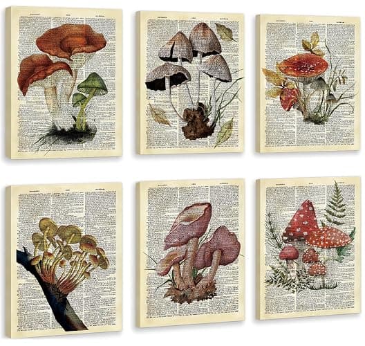 CHDITB Mushroom Wall Art, Mushrooms Dictionary Framed Canvas Wall Art Set, Nature Mushroom Wall Decor, Vintage Fungus Wall Painting, Retro Aesthetic Art Prints For Living Room Bedroom Decor(8X10 Inch) - Image 1