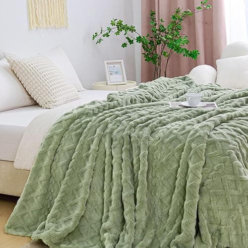 Aganear Flannel Throw Blanket - Cozy Soft Lightweight Fuzzy Blanket for Women Portable Throw Blankets for Couch, Warm Present for Birthday, Christmas, Halloween, Housewarming(50"x60", Sage Green) thumbnail 3