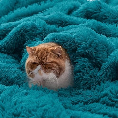 Bedsure GentleSoft Fluffy Turquoise Teal Throw Blanket, Teal Decor Cozy Gifts for Women Men, Soft Fuzzy Sherpa Fleece Plush Thick Warm Faux Fur Throws for Couch, Aqua Blanket Gifts for Mom, 50x60 thumbnail 6