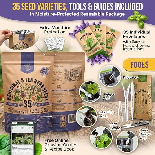 35 Medicinal & Tea Herb Seeds Variety Pack for Indoor & Outdoors. 16,335+ Non-GMO Heirloom Garden Seeds: Anise, Bergamot, Borage, Cilantro, Chamomile, Dandelion, Rosemary Seeds & More thumbnail 3