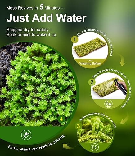 Live Moss Duo Pack 2 Types of Real Live Sheet/Sphagnum Moss for Terrariums, Terrarium Mosses Landscaping, Reptile Tank Accessories, Snake & Gecko Humidity Substrate Mosses for Crafts & Plant Décor thumbnail 3
