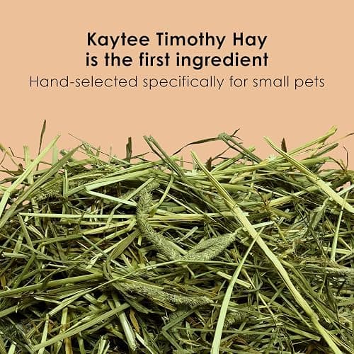 Kaytee Timothy Complete Guinea Pig Food with Timothy Hay, 9.5 Pounds | Supports digestion. Pelleted food for guinea pigs. guinea pig pellets, vitamin C, probiotics thumbnail 3