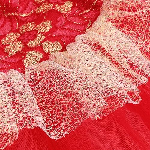 Girls Skirted Leotards Ballet Dance Tutu Princess Dress Ballerina Costumes 3-8Y thumbnail 5