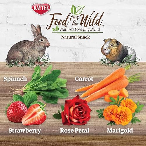 Kaytee Food from The Wild Natural Snack for Pet Rabbits, Guinea Pigs and Other Small Animals, 1 Ounce (Pack of 2) thumbnail 2