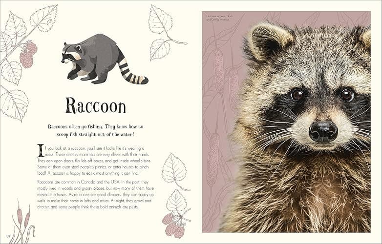 Anthology Of Intriguing Animals thumbnail 11