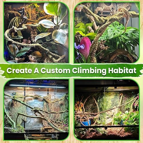 Duspro 6.5FT Reptile Vine & Moss Set for Climbing Bendable Branch, Natural Moss Rope Jungle Decor for Bearded Dragon, Chameleon Tank Accessories, Snake Gecko Lizard Terrarium thumbnail 7