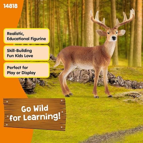 Schleich Wild Life - White Tail Buck Deer Figurine - Realistsic Wild Animal Figure for Boys and Girls - Educational Toys for Kids Ages 3+ | 14819 thumbnail 5
