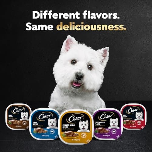 Cesar Puppy Classic Loaf in Sauce Wet Dog Food, Chicken & Beef Recipe, 3.5 oz. Easy Peel Trays, Dog Food Toppers, 24 Count (Pack of 1) thumbnail 7