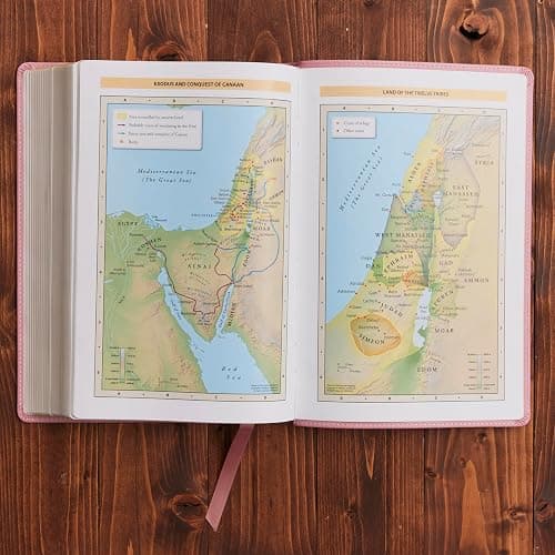 Pink Bible thumbnail 9