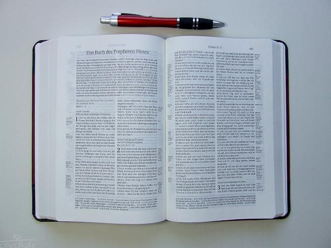 German Bible Die Bibel, Schlachter 2000, 2-toned Brown and Black, leather-soft, Contemporary Bible thumbnail 2