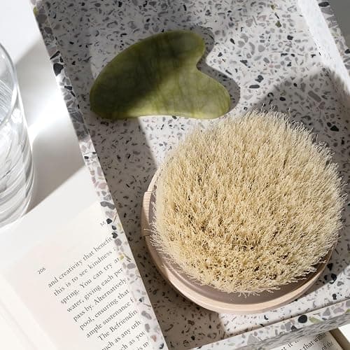 EcoTools Dry Body Brush for Dry Brushing, Smooth Skin, 1 Count | Soft, glowing skin, body scrub brush, leg exfoliator, travel size, bamboo handle thumbnail 5