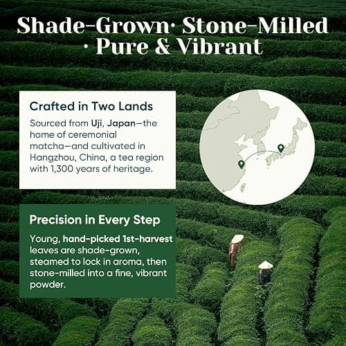 Venture Pal 100% Pure Premium Ceremonial Grade Matcha Powder, First Harvest Green Tea Powder - First Harvest, Vegan, Gluten-Free, No Additives, (30g/1.06oz） thumbnail 7