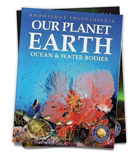 Our Planet Earth: Collection of 6 Books (Knowledge Encyclopedia For Children) thumbnail 8
