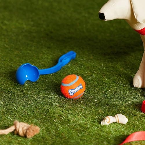 Chuckit! Dog Ball Launcher - Sport 12" with Medium (2.5"), Dog Fetch Ball Thrower, For Dogs 20-60 Pounds, Made in USA thumbnail 2