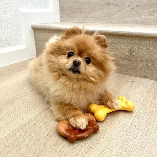 Nylabone Power Chew Toy Bundle, Cute Dog Toys for Aggressive Chewers, Filet Mignon, Cheese, and Bacon Flavors, Small Dogs - Up to 25 lbs, 3 Pack thumbnail 2