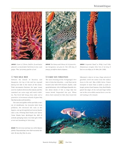 Dive Atlas of the World: An Illustrated Reference to the Best Sites (IMM Lifestyle Books) A Global Tour of Wrecks, Walls, Caves, and Blue Holes from Lawson Reef to the Red Sea to the Great Barrier thumbnail 5
