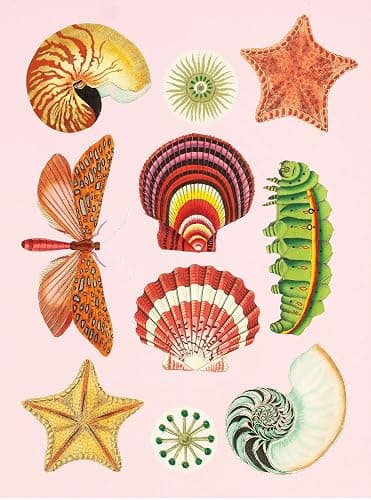 The Antiquarian Sticker Book: Over 1,000 Exquisite Victorian Stickers thumbnail 9