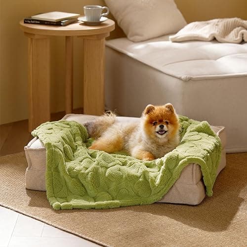 Bedsure Dog Blanket for Small Dogs Washable - Fluffy Fuzzy Puppy Cat Blanket with Premium 300GSM Coral Fleece Soft for Pet Kitten Doggy, Green, 25x35IN thumbnail 2