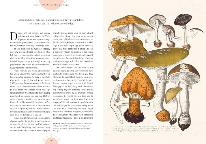 Kew - The Magic of Mushrooms: Fungi in folklore, superstition and traditional medicine (Royal Botanic Gardens, Kew) thumbnail 4