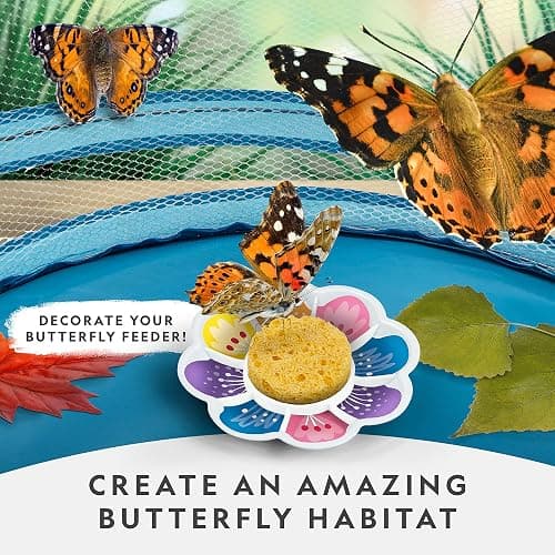 National Geographic Butterfly Growing Kit - Butterfly Habitat Kit with Voucher to Redeem 5 Caterpillars (S&H Not Included), Butterfly Cage, Feeder, Easter Basket Gifts for Kids thumbnail 2
