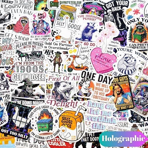 200 PCS Funny Holographic Stickers for Adults, Waterproof Vinyl Sarcastic Meme Decals for Laptop, Water Bottle, Phone, Kindle, Journal, Scrapbook, Bumper, Skateboard, Luggage, No Repeats thumbnail 5