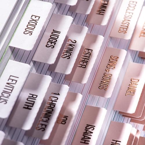 DiverseBee Laminated Bible Tabs (Rose Gold Embossed Lettering), Bible Journaling Supplies, Bible Book Tabs, Christian Gift, 73 Bible Tabs for Women and Men, Includes 4 Blank Tabs (Pearl) thumbnail 3