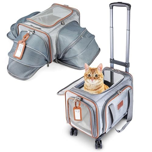 Rolling pet carrier - Image 1