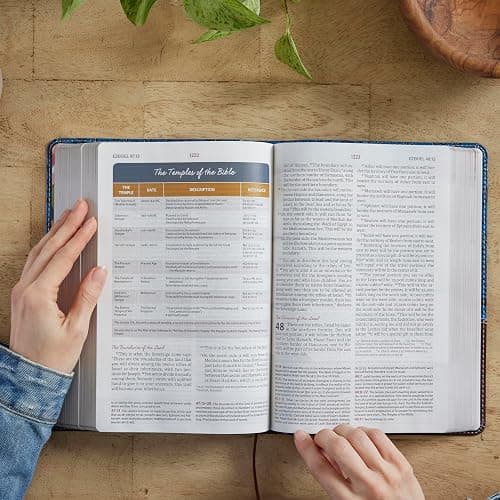 NIV, The Woman's Study Bible, Hardcover, Full-Color, Red Letter: Receiving God's Truth for Balance, Hope, and Transformation thumbnail 8