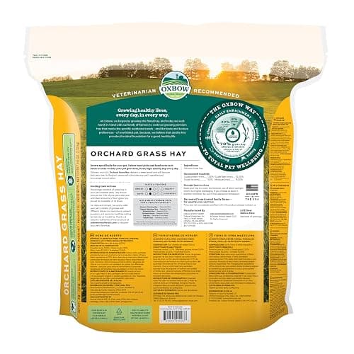 Oxbow Orchard Grass Hay for Small Pets – All-Natural Long Strand Fiber Hay for Rabbits, Guinea Pigs, Chinchillas, and Hamsters – Supports Digestive Health and Enrichment – 40 oz Bag thumbnail 2