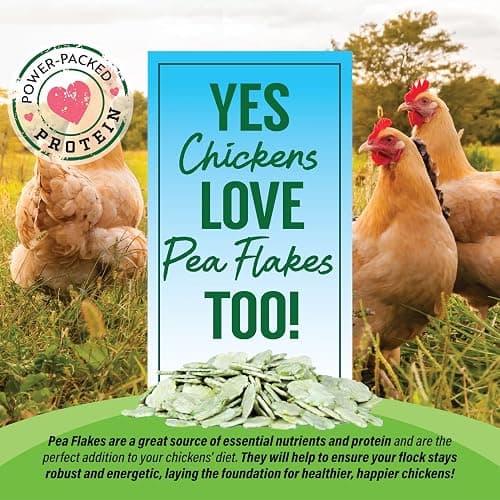 Small Pet Select - Pea Flakes, Treats for Rabbit Bunny, Guinea Pig, Chickens, Bunny, Hamster, and Other Small Pets, 1 lb thumbnail 4