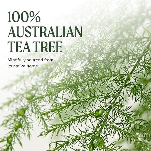 Tea Tree Lavender Mint Moisturizing Shampoo, Hydrates + Soothes, For Coarse + Dry Hair thumbnail 6