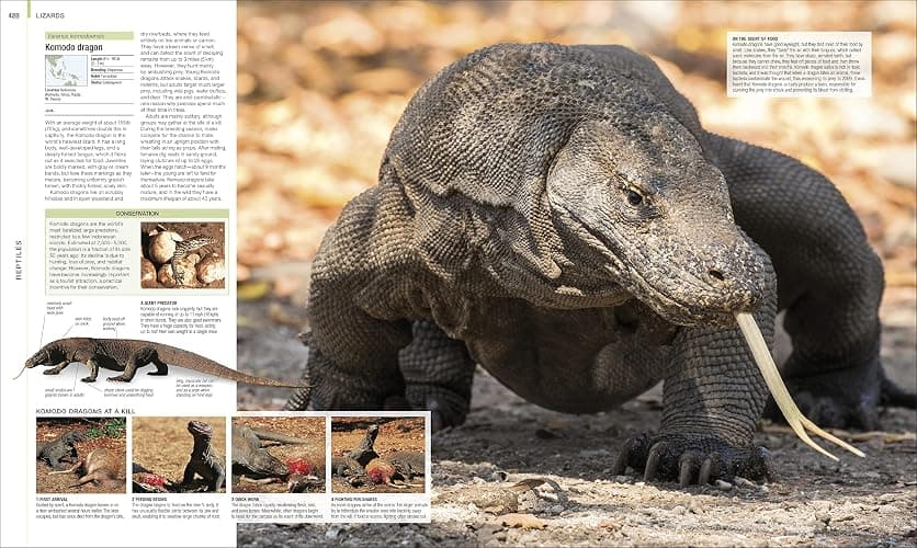 Animal: The Definitive Visual Guide (DK Definitive Visual Encyclopedias) thumbnail 7
