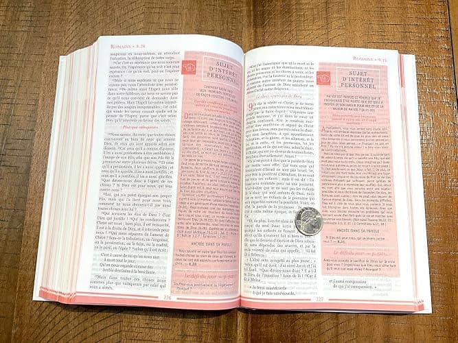 Bible Femmes à son écoute (FASE): Rose & or couverture rigide thumbnail 5