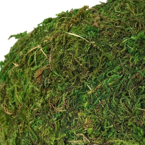 USMOLA Mossy Caves, Artificial Green Moss Caves Hide for Pet Reptile Frogs and Snakes, Terrarium & Vivarium Decor, Crested Gecko Tank Decor (4" - Woodland Green) thumbnail 6