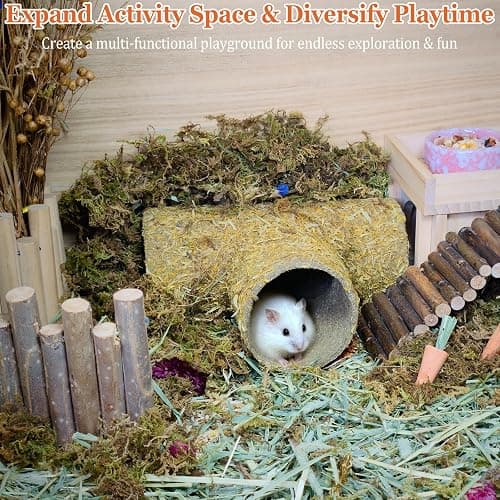 Hamster Hideout Tunnel Natural Hay & Dried Flower Paper Tube Maze Burrowing Habitat Decor for Dwarf Hamsters Gerbils Mice Syrian Hamsters (Calendula) thumbnail 4