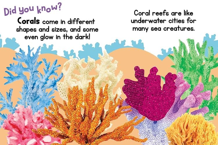 Ocean Friends - Touch and Feel Board Book - Sensory Board Book thumbnail 7