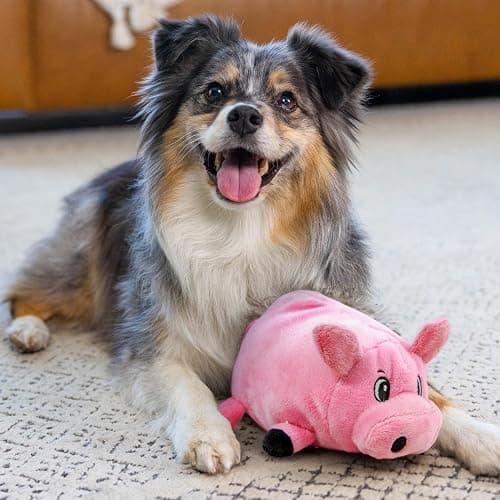 Outward Hound Fattiez Pig Plush Squeaky Dog Toy, Small thumbnail 5
