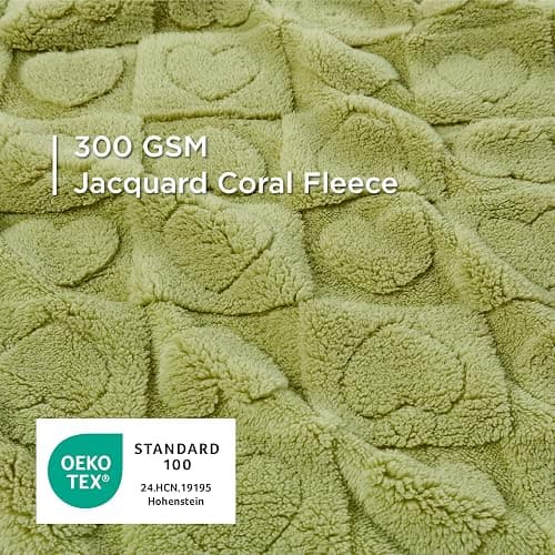 Bedsure Dog Blanket for Small Dogs Washable - Fluffy Fuzzy Puppy Cat Blanket with Premium 300GSM Coral Fleece Soft for Pet Kitten Doggy, Green, 25x35IN thumbnail 4